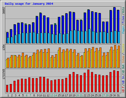 Daily usage for January 2024