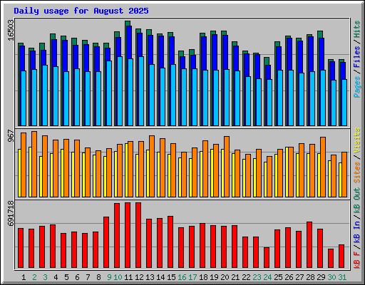 Daily usage for August 2025