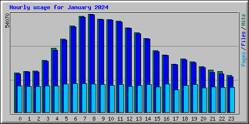 Hourly usage for January 2024