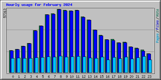 Hourly usage for February 2024