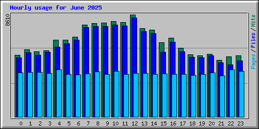 Hourly usage for June 2025