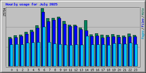 Hourly usage for July 2025