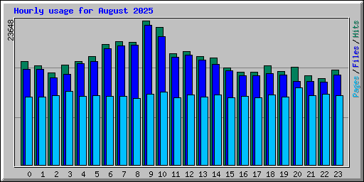 Hourly usage for August 2025