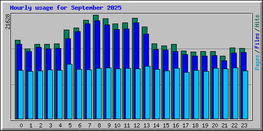 Hourly usage for September 2025