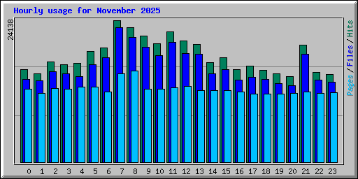Hourly usage for November 2025