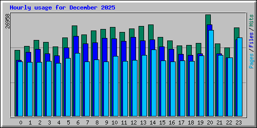 Hourly usage for December 2025