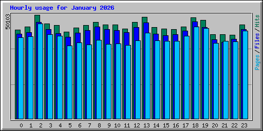 Hourly usage for January 2026