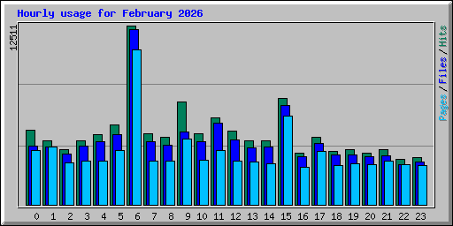 Hourly usage for February 2026